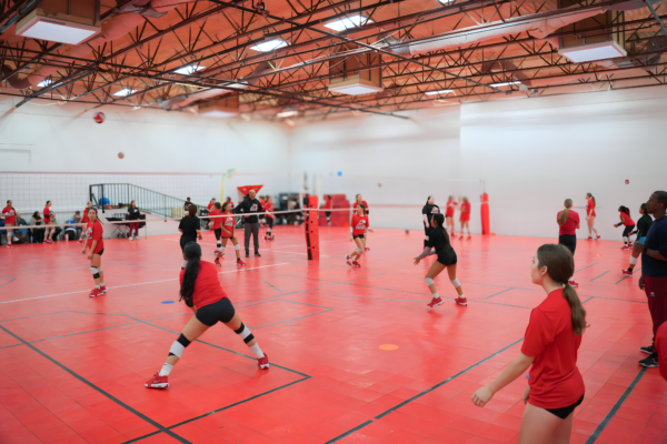 Developmental Volleyball Academy Summer League